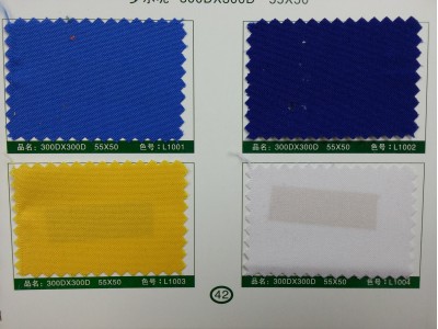 SD-DGYE   羅爾呢   300D*300D   55*50 正面照